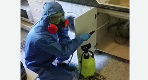 Уничтожение муравьев в квартире. Ахтубинск