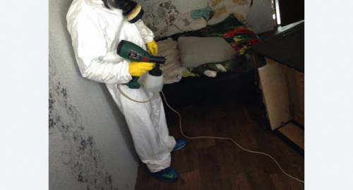 Обработка квартир от насекомых в Ахтубинске