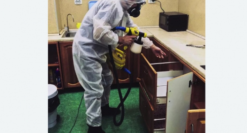 Дезинсекция квартиры. Ахтубинск