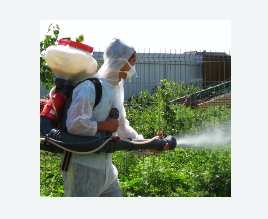 Акарицидная обработка территории в Ахтубинске