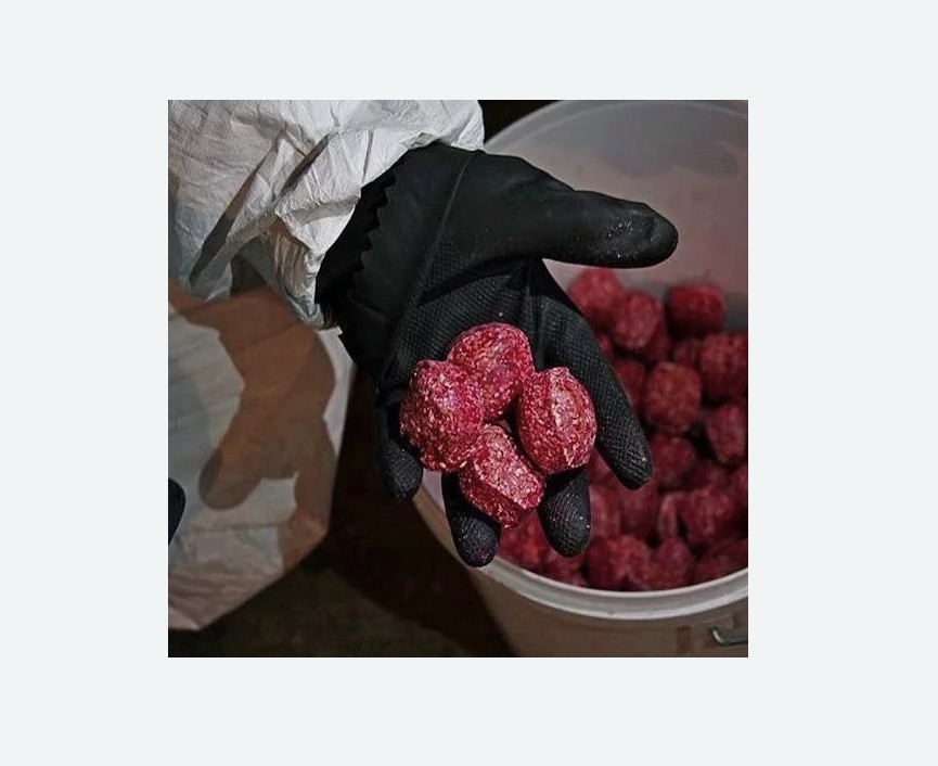 Обработка от крыс в Ахтубинске