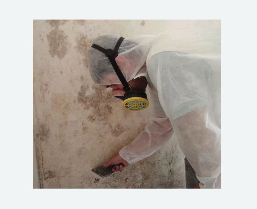 Обработка стен от плесени в Ахтубинске