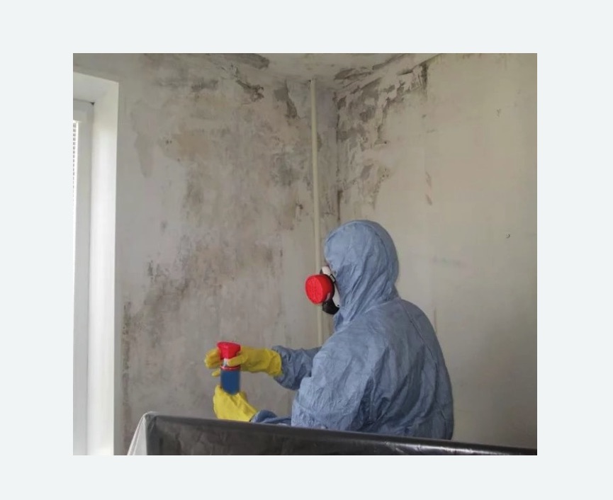 Удаление плесени в квартире в Ахтубинске