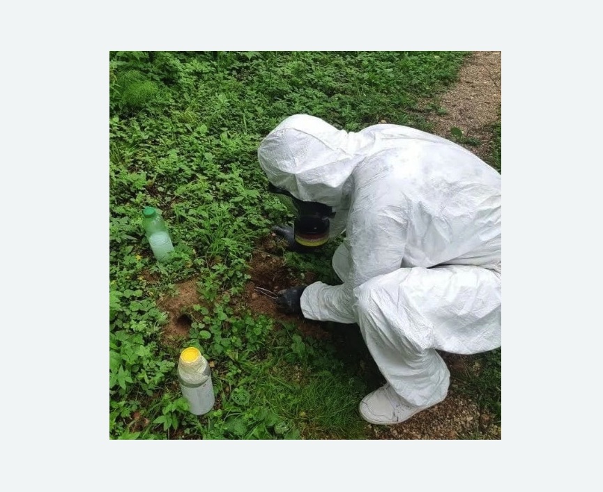 уничтожение кротов на участке уничтожение кротов на участке в Ахтубинске