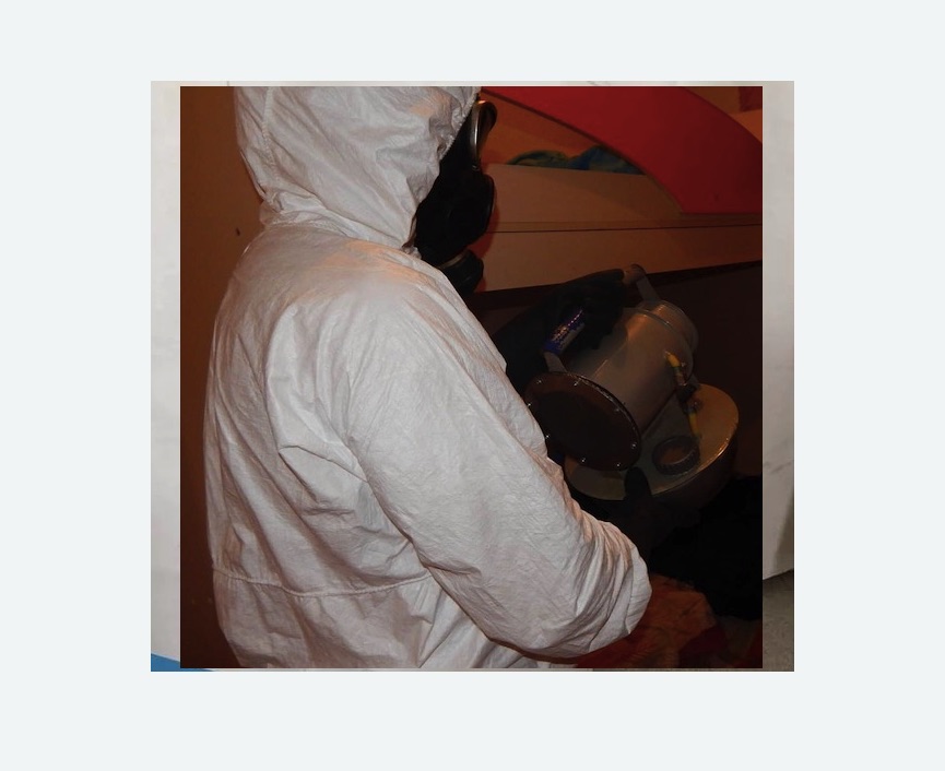 Дезинфекция от муравьев в Ахтубинске